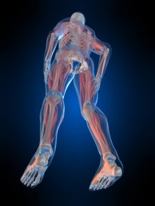 LE SCHÉMA CORPOREL, NOTRE CARTE MÉMOIRE